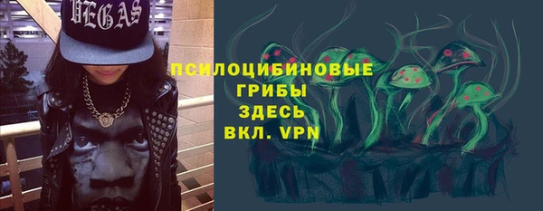 крисы Магас