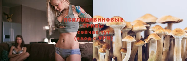 jwh Медвежьегорск
