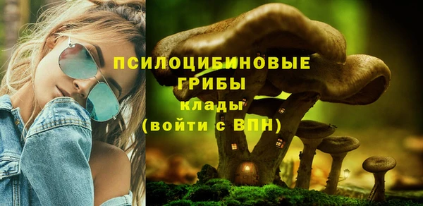 эйфоретик Мегион