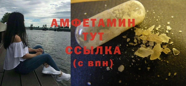 крисы Магас