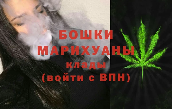 крисы Магас