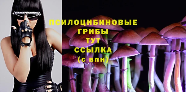 метамфетамин Медногорск